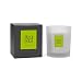 Archipelago Arugula Soy Candle