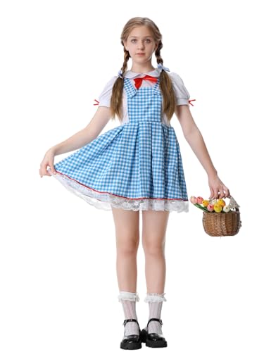 Disfraz Completo Niña Vestido Cuadros Azul Farm Girl