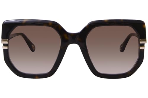 Brown Chloe CH0240S Sunglasses2