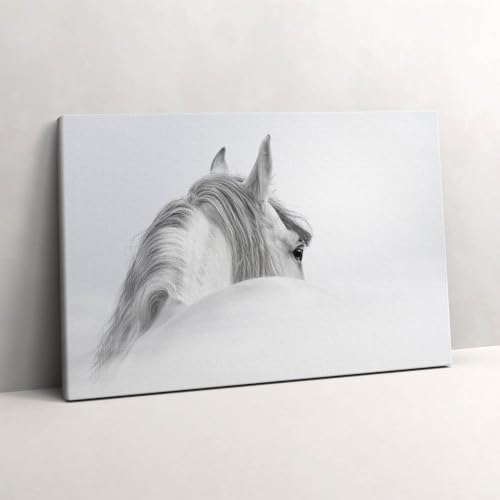 Tableau Cheval andalou dans le brouillard 60x40cm en impression sur toile