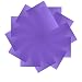 Neewer 12 Pack 8.5x11 inches/21x28 centimeters Transparent Color Correction Lighting Gel Filter Set for Photo Studio Strobe Flashlight(Purple)