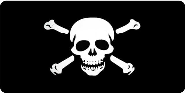 Skull and Crossbones Photo License Plate