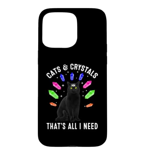 Cats and Crystals That's All I Neee Aesthetic Black Cat Case for iPhone 15 Pro Max