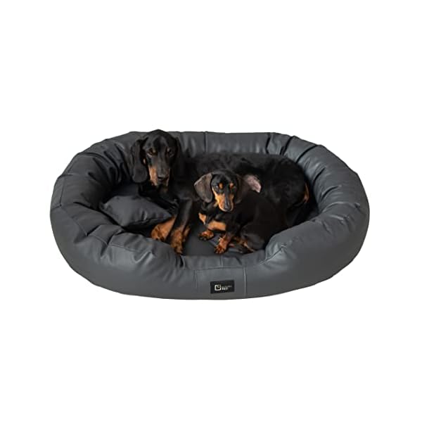 exclusive BED Orthopädisches Hundebett Nancy Premium Grosse Mittelgroße Kleine Hunde - Hundekissen Hundematte aus Öko-Leder - rutschfest Langlebig Abriebfest Reißfest