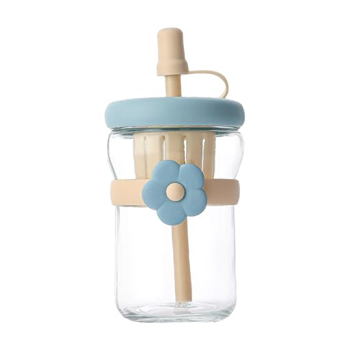 Biniveil Botellas Reutilizables De Vidrio | Botella De Vidrio 500ml Tazas Transparentes - Recipientes Antifugas Con Pajita De Silicona Reutilizables,Para Bebidas Frías Calientes Casa Oficina Gimnasio