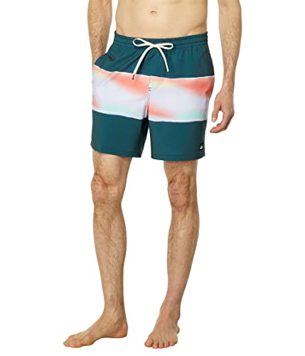 Quiksilver Men's Standard Surfsilk Air-Brush 17 Volley Swim Trunk Boardshort