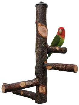 View of The Best Macaw & Cockatoo Perches - All Pet Birds