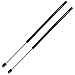 OCPTY Lift Supports Gas Springs Struts Shocks 6243 Lift Supports Strut Fits 2008 2009 2011 2012 2013 2014 2015 Chevrolet Captiva Sport 2008 2009 2010 Saturn Vue Rear Liftgate