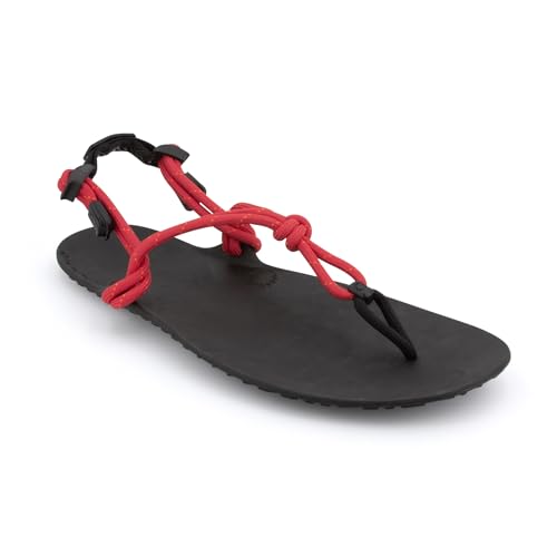 Xero Shoes Men's Genesis Hiking Sandals, Currant, 38 EU