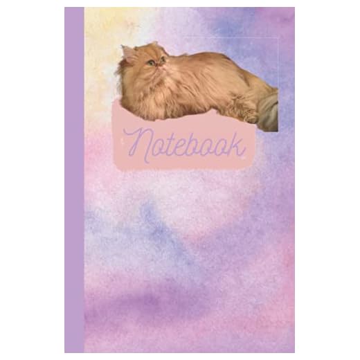 Golden Chinchilla Persian Drawing Notebook -Sketchbook- Framed blank pages