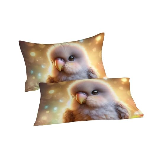 Housse de couette imprimé 3D avec grands perroquets multicolores en tissu microfibre doux