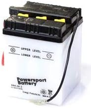 Replacement For C2SS ROADRUNNER YEAR 1967 BATTERY by Technical Precision