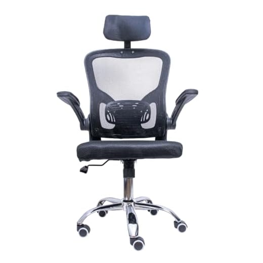 Cadeira De Escritório Presidente Gamer Ergonômica Premium Giratória Ajustável Resistente Computador (Preta) Eloria