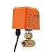 Pwefhsdjvh 2-Way Brass Electric Ball Valve, DN10 (3/8 Inch), Normally Closed (NC), 12V/24V AC/DC, IP67 Waterproof, Motorized Valve for Water/Oil/Air Control - Industrial & Home Automation