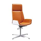 Estilo impresionante: combinando un toque contemporáneo con sofisticación, esta silla no solo se ve elegante sino que también proporciona la máxima comodidad.