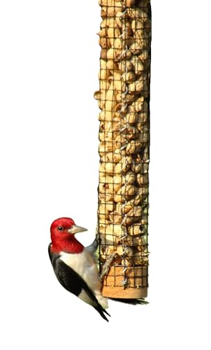 Backyard Birds Unlimited Cedar Whole in-Shell Peanut Outdoor Hanging Wild Bird Feeder Made in The USA-Small 21' Inch