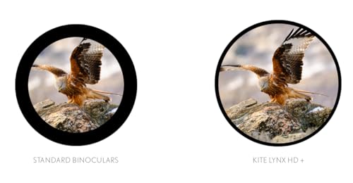 Binoculares Kite Optics Lynx HD 10x42 miniatura 3