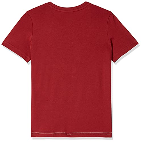 Image of Puma Unisex-Kid Graphic Classic Fit Tee
