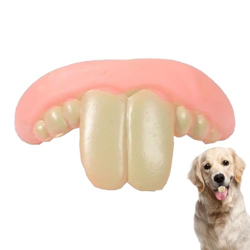 Hundespielzeug mit lustigen Zähnen – Zahnersatz für Hunde | Hunde-Beißband-Spielzeug | Anti-Biss einzigartig, stilvoll, humorvoll, stabil, einfach anzubringen, Hundezahn, künstliche Zahnspangen für
