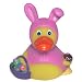 DUCKY CITY 3