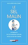 Le Sel Malin - Alix Lefief-Delcourt
