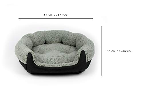 Perro, Pet Products Imagen adicional