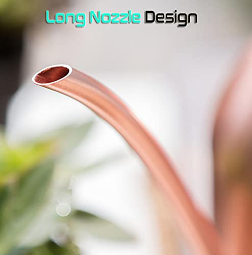 Watering Can Indoor Outdoor For Kids House Desk Office Plants And Garden Bonsai Stainless Steel (15Oz-Rose) #TOP1