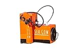Botella de plongee 0,8L: MiniDive seagow 300 + minicomp Conjunto Botella de Buceo y compresor Adulto Unisex, Orange