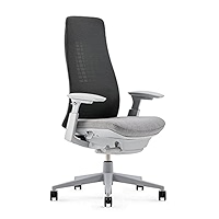 Amazon.com: Haworth Fern Office Chair – Ergonomic and