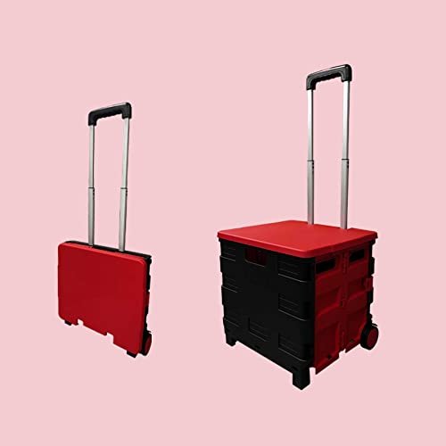 P͎m L[J[g ܂肽 ӂt VbsOJ[g Xgbp[t 360°] 2/4/8֐ÉLX^[ p AEghA RpNg Lvp ȒPg y(245L, +bh)