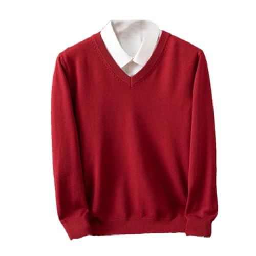 Men's Solid Merino Wool Pullovers V-Neck Long Sleeves Casual Simple Business Knit Sweater