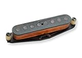 Seymour Duncan