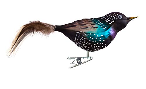 Birds of Glass® Glas-Vogel, Star mit Naturfeder, Glasschmuck Made in Germany aus eigener Herstellung, deko Vogel mit Clip, Glasvogel, echter Lauschaer Christbaumschmuck, für den Innenbereich Cover
