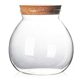 Terrarium-Glas – 1800 ml geschlossener Terrariumbehälter mit Korkdeckel für Sukkulenten Tillandsien Moos – Hydroponischer Pflanztopf aus hochwertigem Borosilikatglas