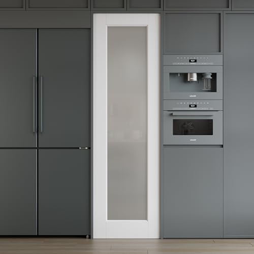 WINSTELLAR 24 x 80 Prebuilt Interior Frosted Glass Door...