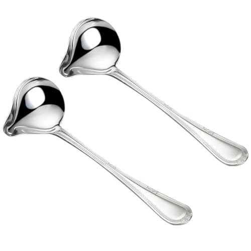 HENGBIRD 2 cucchiai per salse in acciaio inox, 20 cm, in acciaio inox, piccolo mestolo per salsa con beccuccio, cucchiaio per salsa lavabile in lavastoviglie, cucchiaio per salse da zuppa (argento)