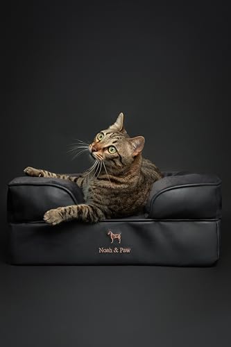 Image of NOAH & PAW Small Dog Bed, 20x15x8 Inch, Cat Bed for Indoor Cats, Orthopedic Eggshell Memory Foam Infused with Cooling Gel, Water Resistant Inner Cover Machine Washable (Faux Leather)