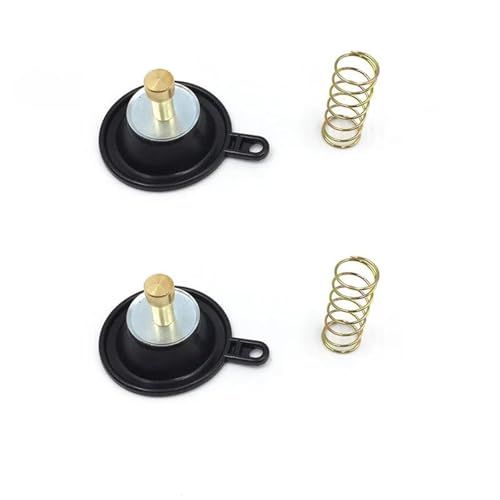 キャブレター オートバイ用キャブレター修理キットプランジャーダイヤフラムガスケット付き Virago XV535 1990-2001(2 Diaphragm2)