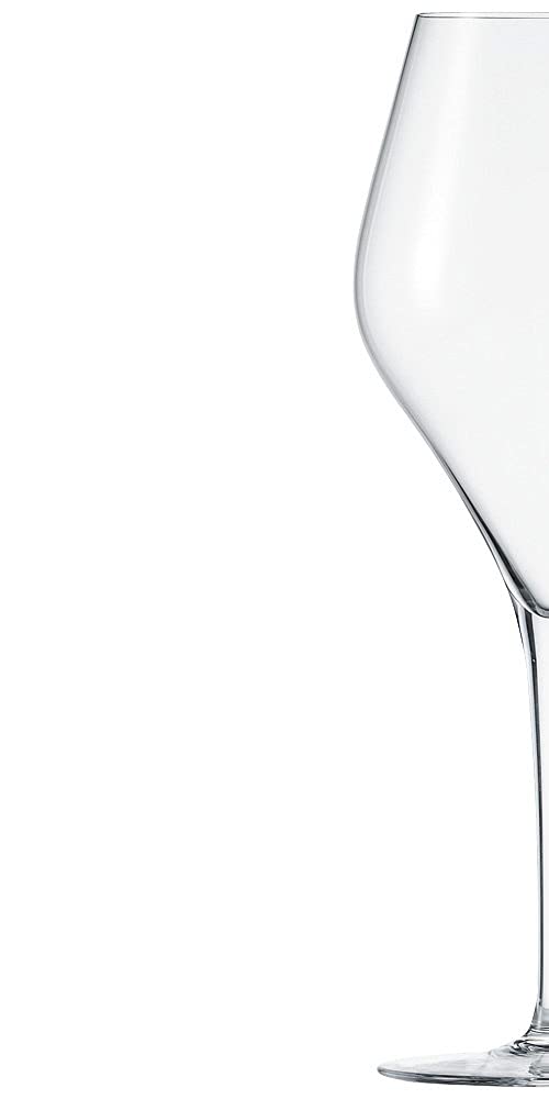 Schott Zwiesel 118608 Finesse - Juego de 6 copas de vino tinto (cristal, transparente, 9,8 x 9,8 x 26,1 cm), color burdeos