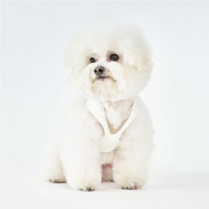 ねこもようそん専用』スペシャルセット！ゆるふわ園芸やっちゃんねる