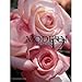 Modern Roses 12