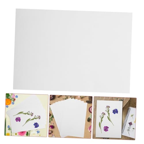 Préservation des couleurs naturelles pour presse à fleurs : kit 6 cotons - 8