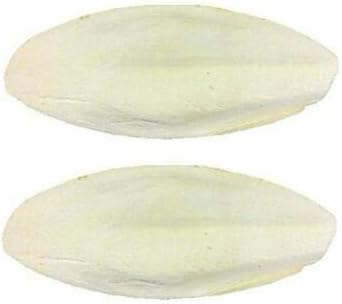 Applejacks Pet Supplies Cuttlefish Bone x 2