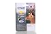 Produktbild Epson WorkForce WF-3520 DWF (T1304 / C 13 T 13044010) - original - Tintenpatrone gelb - 1.005 Seiten - 10,1ml