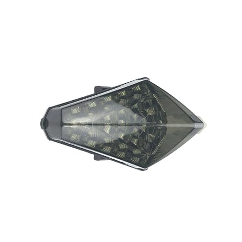Feu arrière intégré avec clignotants pour rouler de nuit en YZF R1 2007