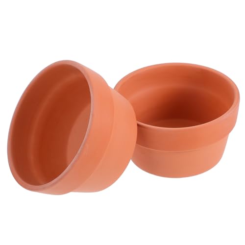 TOGEVAL 2 Piezas Macetas de Terracota para Suculentas Paquete Agujero de Drenaje Maceteros Pequeños para Interior y Decoración de Plantas Escritorio