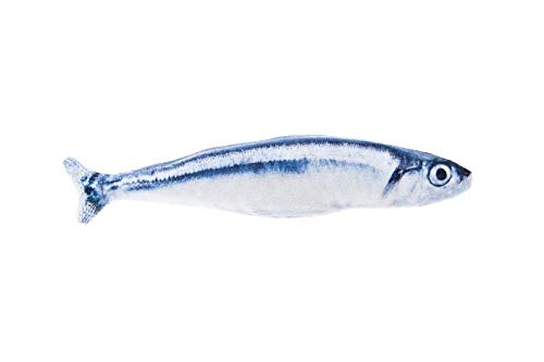 Jouet sardine pour chat au Matatabi anti-ennui qui stimule l'instinct
