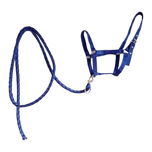 DeeRace �n�p�z���^�[���[�v ��j�t�� ��n�p�i ���߉\�Ȕ[���w�b�h�X�g�[�� �n�[�l�X �̎���� ���� �̎�����, ��