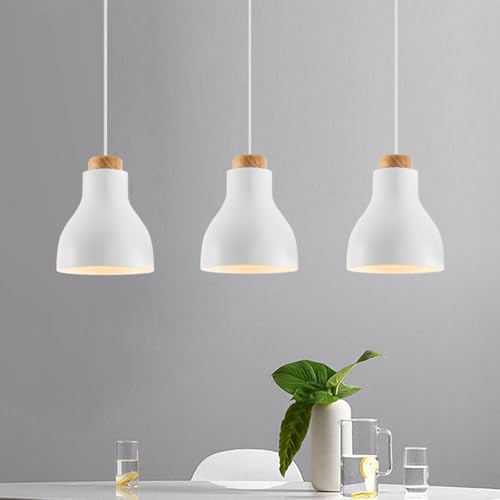 Lámpara colgante de hierro estilo sencillo lámpara de techo decorativa E27 monofocal 5