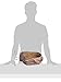Exo Terra Water Dish, Water Bowl for Reptiles, X-Large, Flavorless, 1 pounds